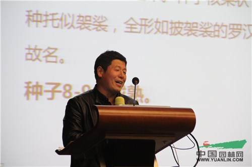 IMG_4579.jpg 2016滕头园林罗汉松交流会在龙岩成功举办