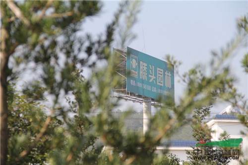 照片6 183.jpg 记一次苗圃考察——滕头园林福建罗汉松基地