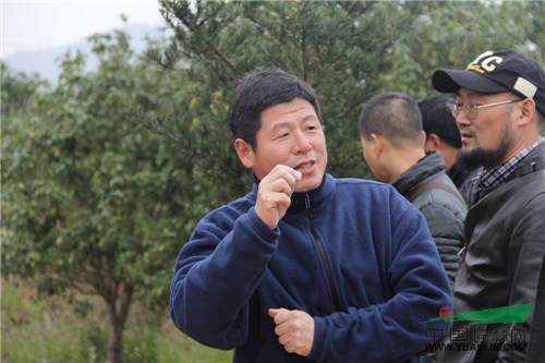 2.jpg 记一次苗圃考察-滕头园林福建罗汉松基地