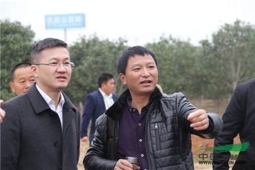 3.jpg 记一次苗圃考察-滕头园林福建罗汉松基地