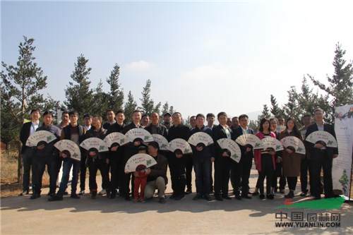 18.jpg 记一次苗圃考察-滕头园林福建罗汉松基地