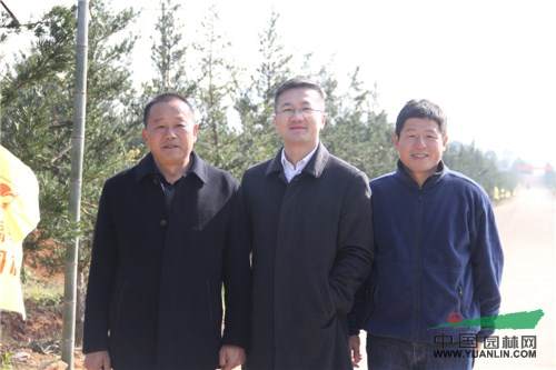 6.jpg 记一次苗圃考察-滕头园林福建罗汉松基地