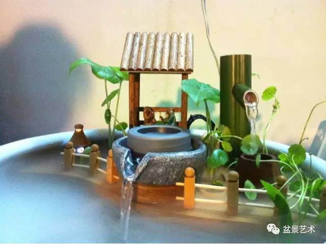 【盆景艺术】不由自主的想分享给盆友