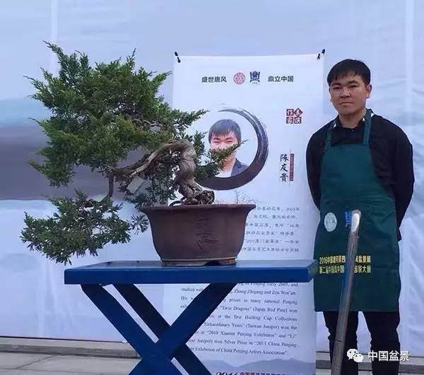 盆景新人陈友贵谈创作意因感立 景由心生