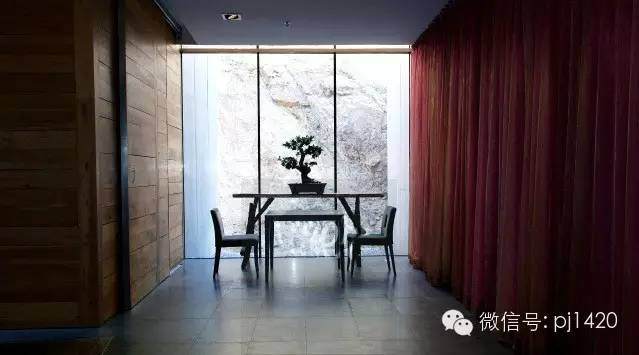 今天才知道 盆景室内摆放还要讲风水