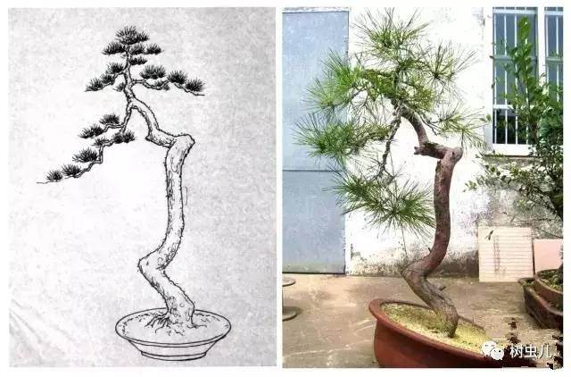 手绘图诠释盆景的造型设计 图片