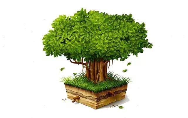 【悦读】金诺盆景入门赏析