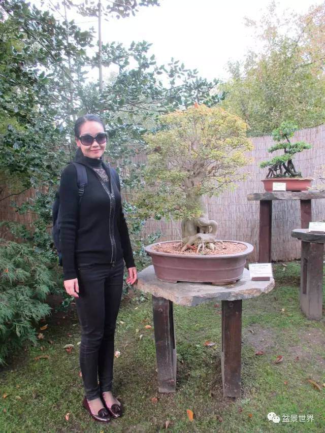 你有一封来自国内首位盆景学硕士的邀请函，请查收！