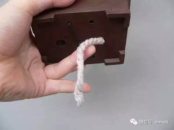 图解 怎么给盆景浇水的懒人方法