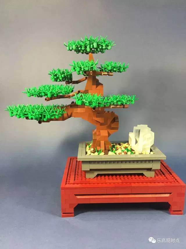 罗汉松盆景树枝姿态优美 叶短而密 生于枝顶端