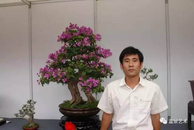 【盆景视窗】掌管颐和园盆景的延庆花匠