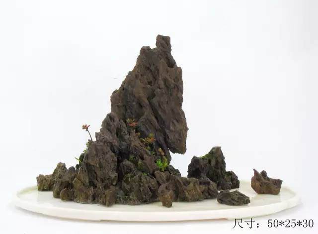 教你山水盆景如何布局的方法