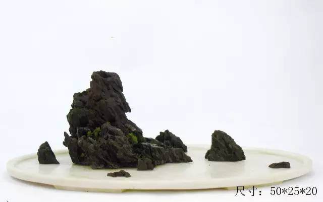 教你山水盆景如何布局的方法