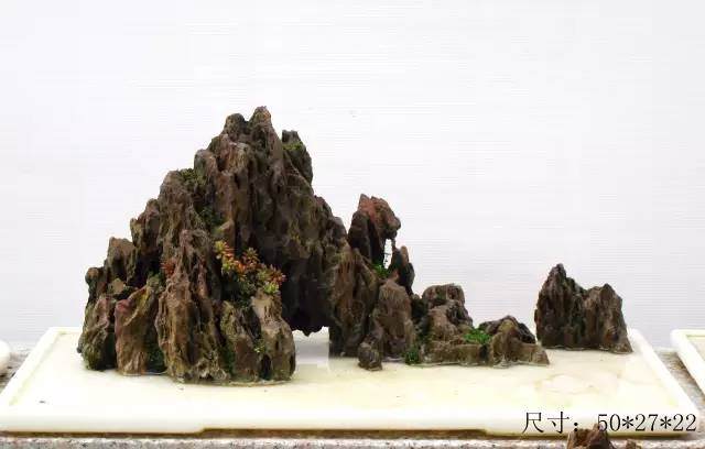 教你山水盆景如何布局的方法