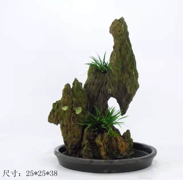 教你山水盆景如何布局的方法