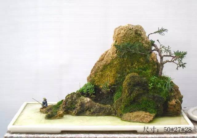 教你山水盆景如何布局的方法