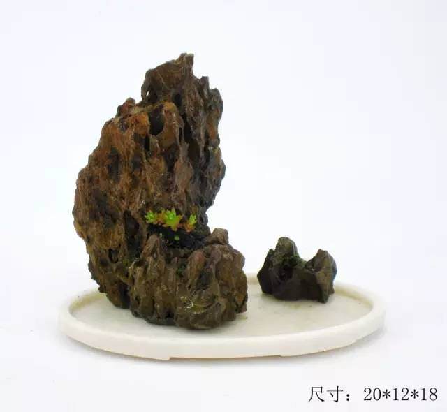 教你山水盆景如何布局的方法