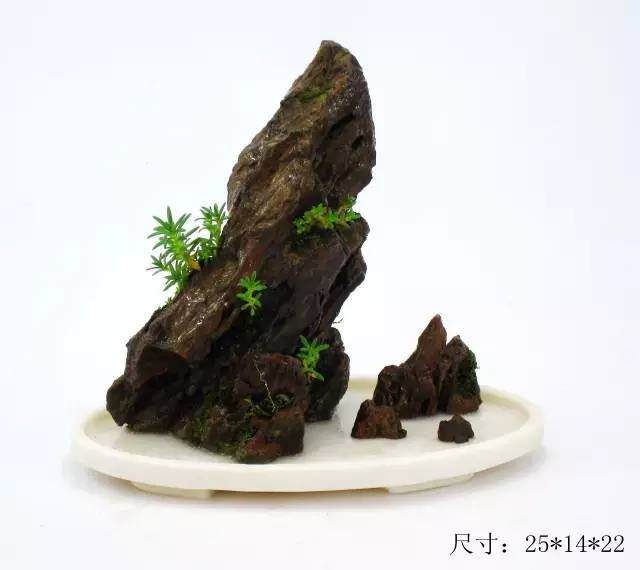 教你山水盆景如何布局的方法