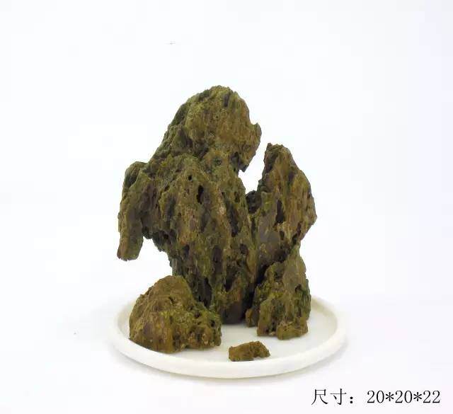 教你山水盆景如何布局的方法