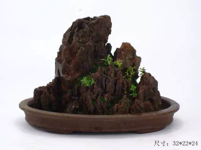 教你山水盆景如何布局的方法