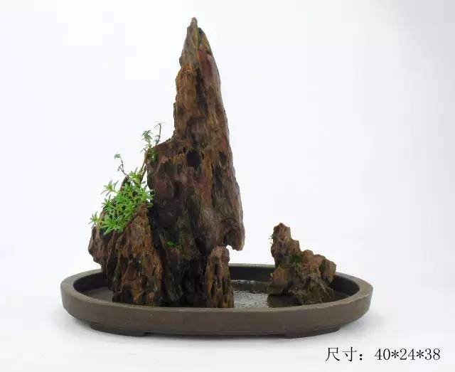 教你山水盆景如何布局的方法