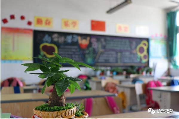 虹星桥小学姹紫嫣红盆景展 三月校园美翻天