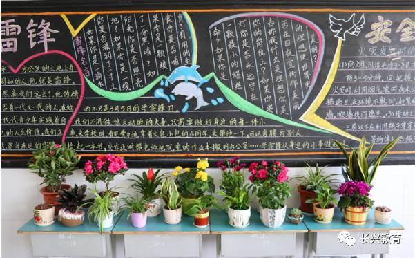 虹星桥小学姹紫嫣红盆景展 三月校园美翻天