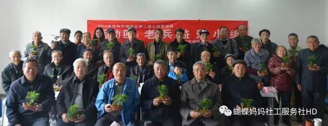 【相城】双拥|老兵益乐小组&mdash;&mdash;盆景制作