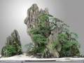 金蟾 假山盆景怎样摆最旺运？