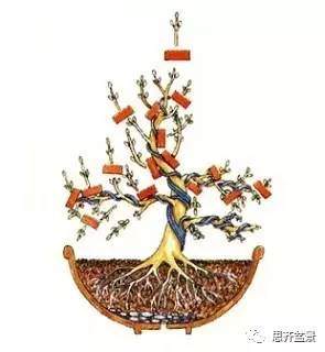 图解 盆景小苗怎么设计成型的过程