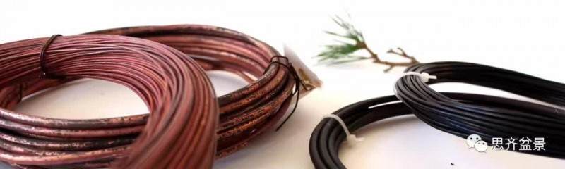 盆景怎么蟠扎造型的教程