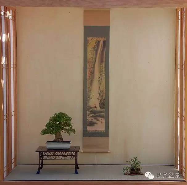 三角枫盆景如何完成蜕变走上展台