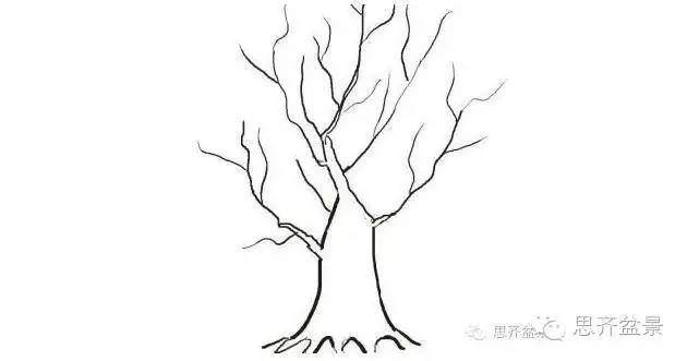 盆景学堂 | 一张图教会你如何裁桩?