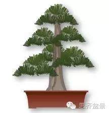 图片 树桩盆景分类十三式