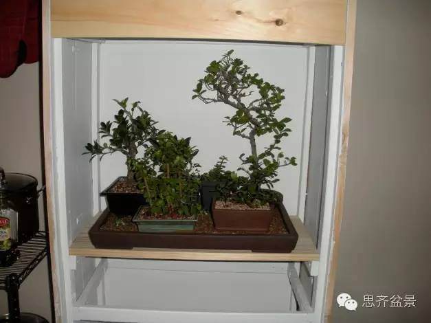 图解 看盆友是如何制作盆景几架的