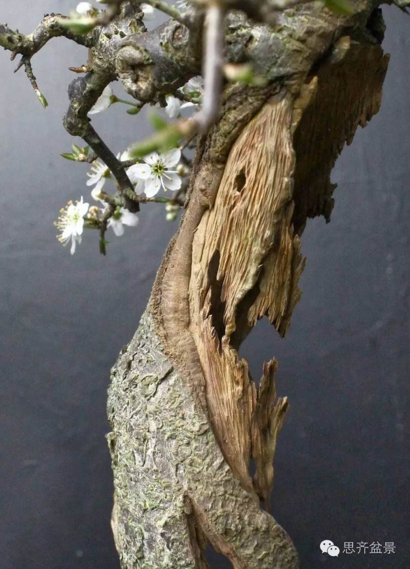 盆景直杆素材怎么设计的方法