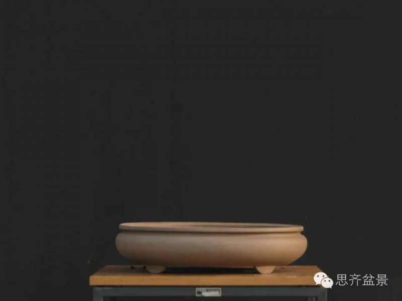 图解 樱桃盆景怎么培育发芽的过程