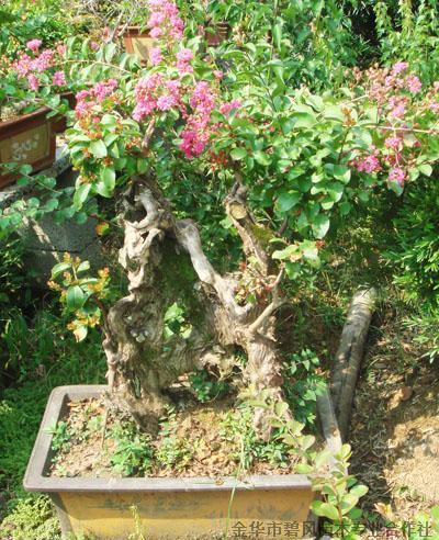 变&ldquo;盆景&rdquo;为&ldquo;风景&rdquo; 安徽加速推进科技成果转化