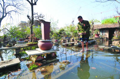安徽六安盆景园下水口被堵 水淹致损失百万