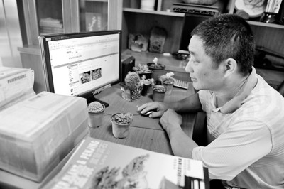 安徽铜陵:苗农互联网上卖盆景