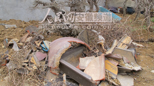 安徽怀远：强拆拖走上百株珍贵盆景 至今下落不明