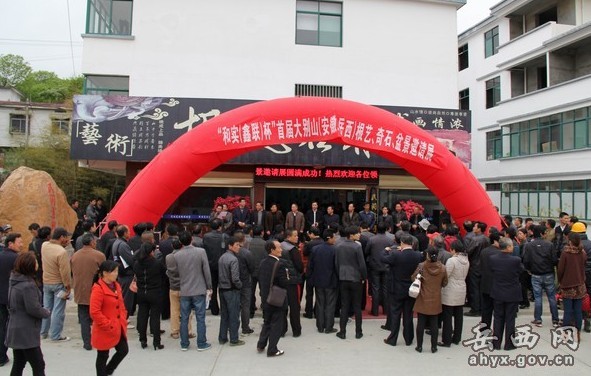 安徽:首届大别山根艺、奇石、盆景邀请展开幕