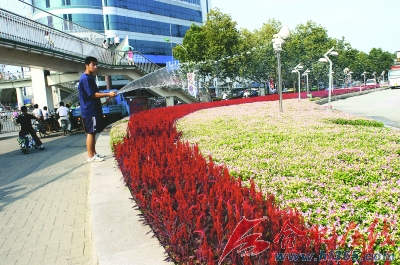 合肥拒绝盆景式绿化