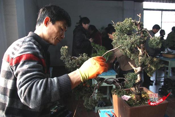 第六届玉器奇石古玩盆景博览会