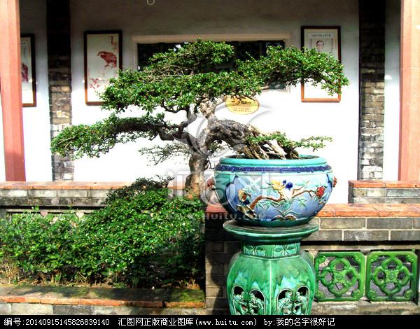 第六届中国花卉盆景展将在福建泉州举行