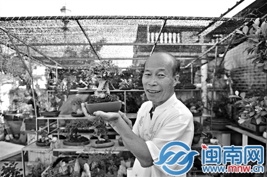 res04_attpic_brief.jpg 福建:泉淮社区园博会盆景行家助阵 愿与厝边切磋