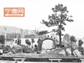 福建霞浦县投入90多万元对盆景生态园进行提升改造