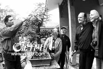 &ldquo;盆景需不需要浇水？&rdquo;一名金发碧眼的外国游客好奇地问道。