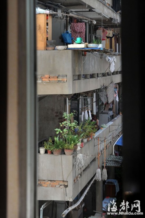 福州安全隐患仍不少 危墙、高空盆景藏危险