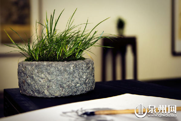 郑剑斌:闽南元素,融进菖蒲盆景